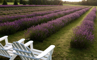 Immerse Yourself in Fragrant Isle This Summer